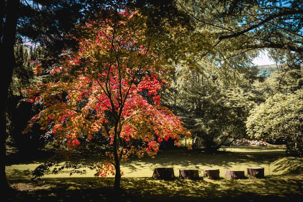 Tir Y Coed Country House Guest House คอนวี ภายนอก รูปภาพ